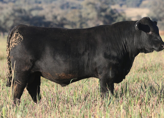 Lot 46: 3RLS Three Rivers V071