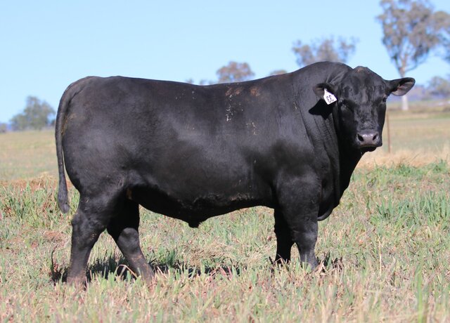 Lot 33: 3RLS Benchmark U153