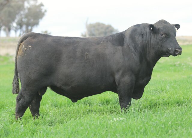 Lot 8: 3RLS Craftsman V260