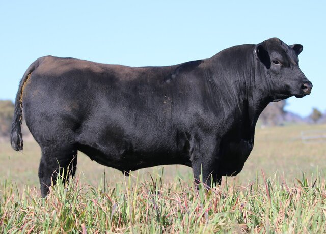 Lot 1: 3RLS Dry Valley U042