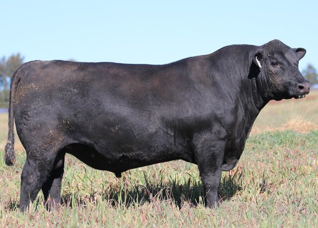 Lot 2: 3RLS Benchmark U164
