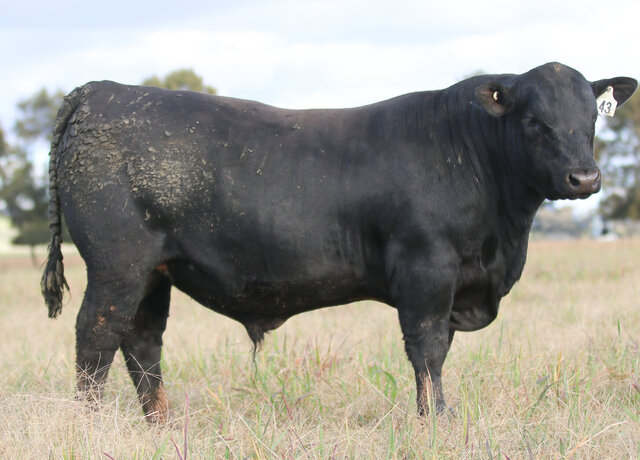 Lot 43: 3RLS Rainfall V026