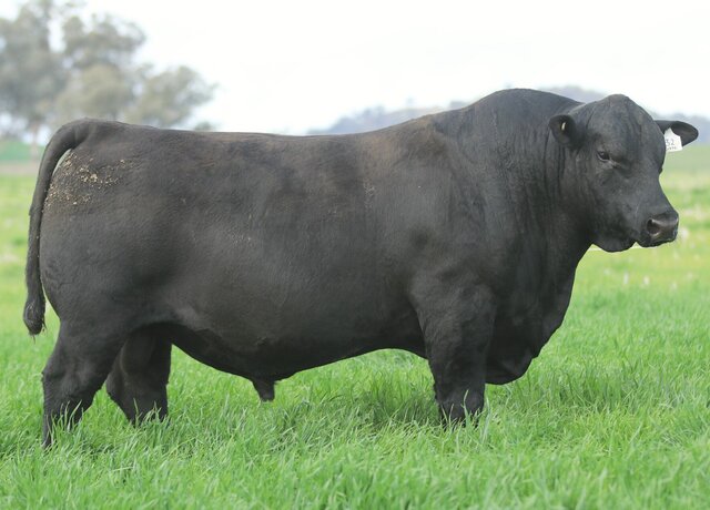 Lot 32: 3RLS Three Rivers V072