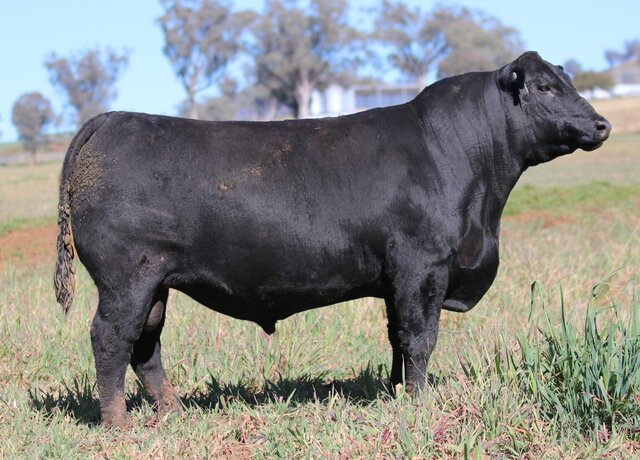 Lot 5: 3RLS Benchmark U107