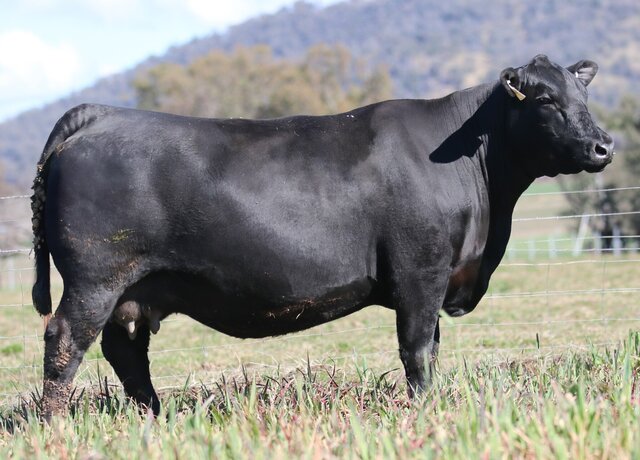Lot 61: 3RLS Mayflower S011