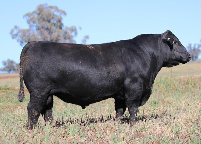 Lot 4: 3RLS Benchmark U177