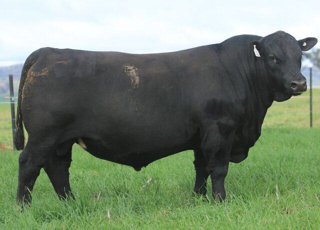 Lot 2: 3RLS Prolific V268