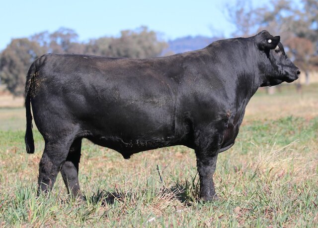 Lot 28: 3RLS Power Broker U149