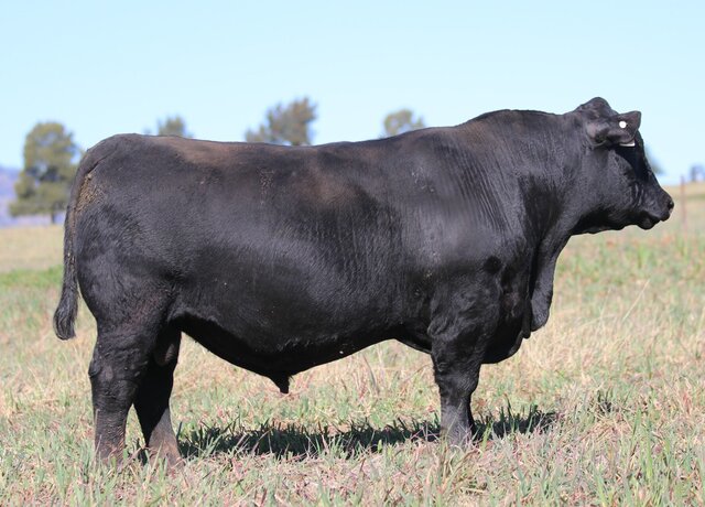 Lot 9: 3RLS Intuition U044