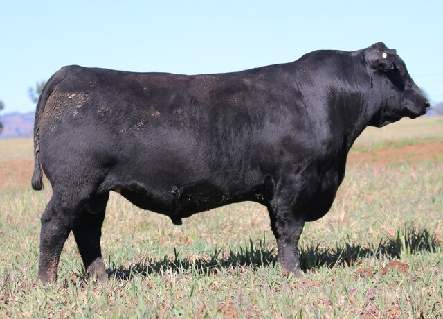 Lot 6: 3RLS Power Broker U136