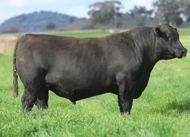 Lot 6: 3RLS Versatile V255