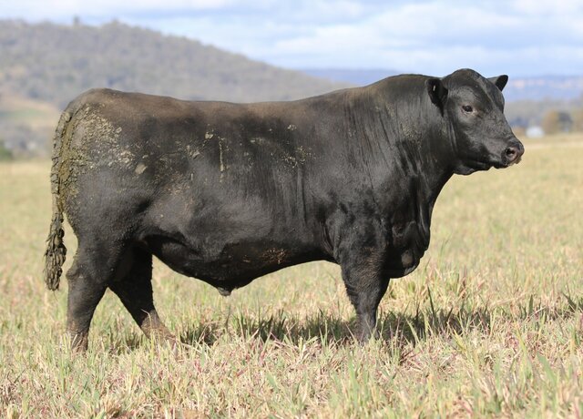 Lot 13: 3RLS Fair N Square V022