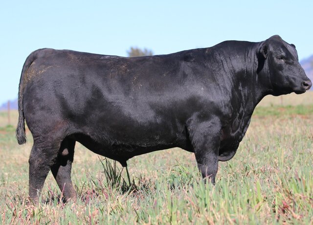 Lot 3: 3RLS Benchmark U172