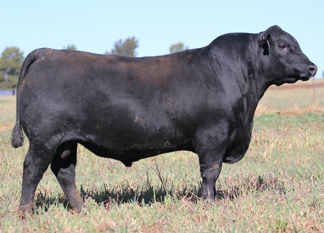 Lot 30: 3RLS Benchmark U064